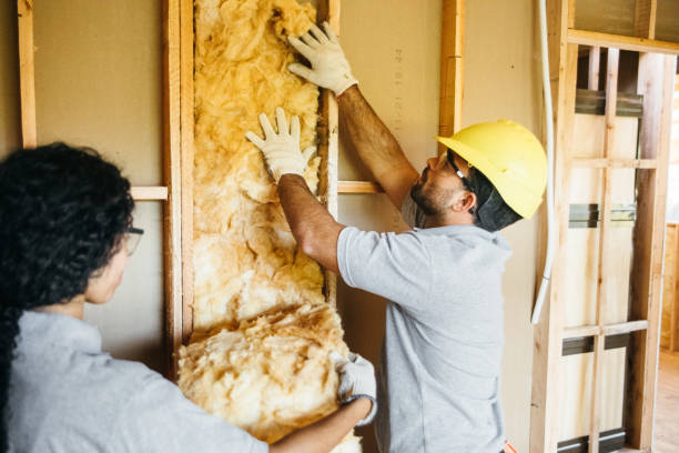 Best Spray Foam Insulation  in Old Orchard, PA